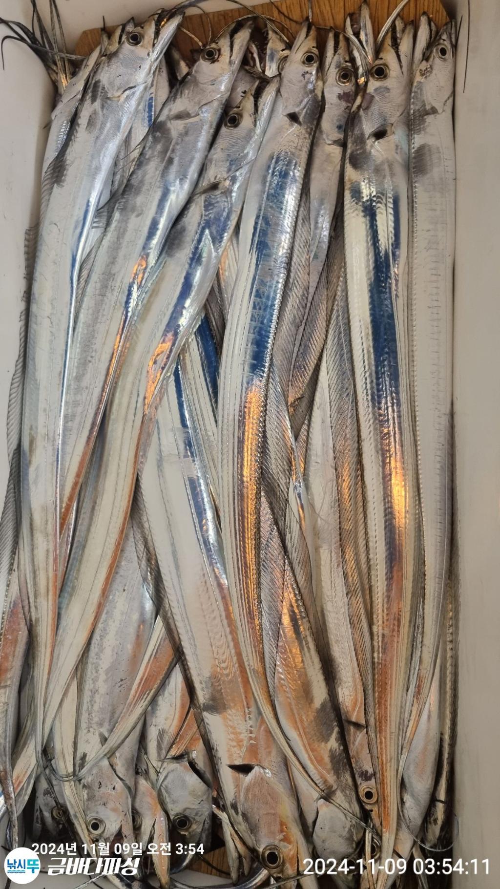 F256304258.jpg