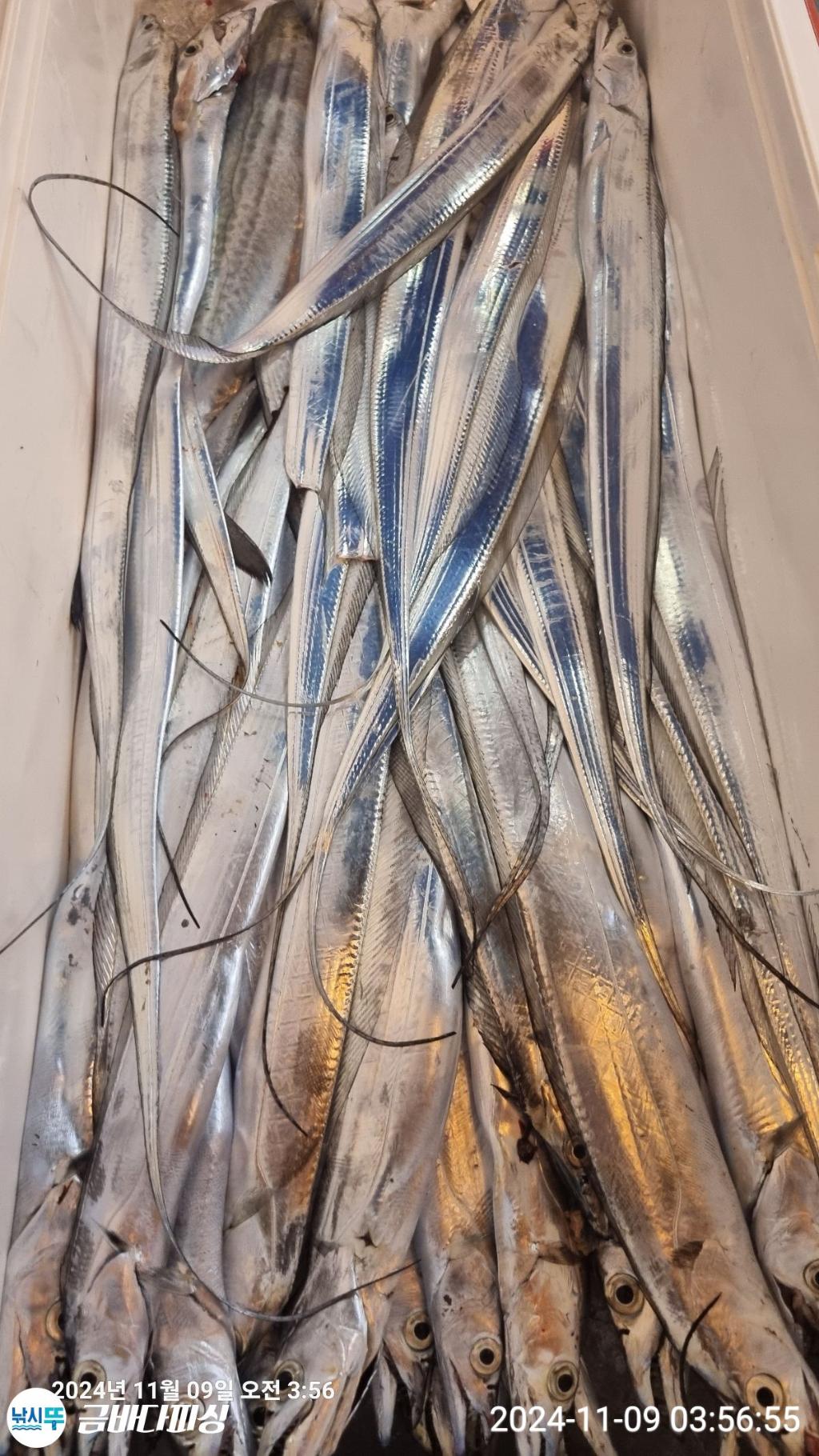 F2563045C4.jpg