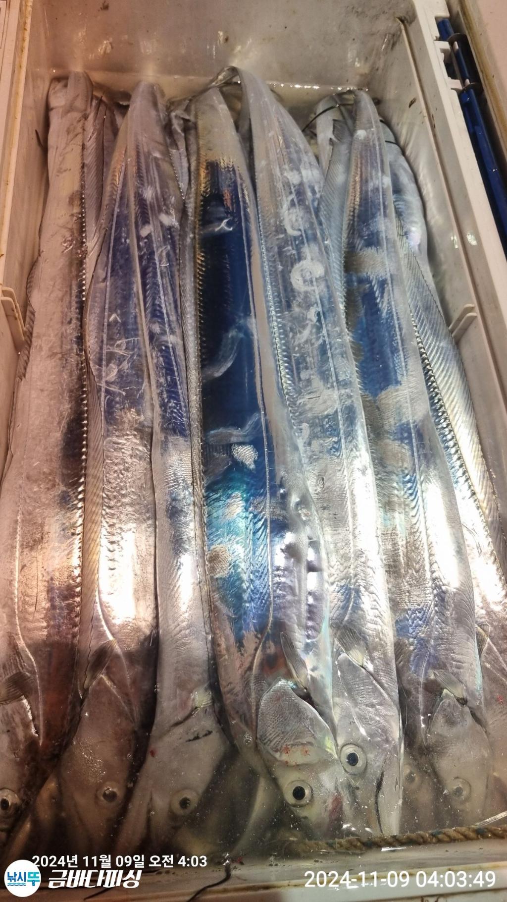 F2563046JW.jpg