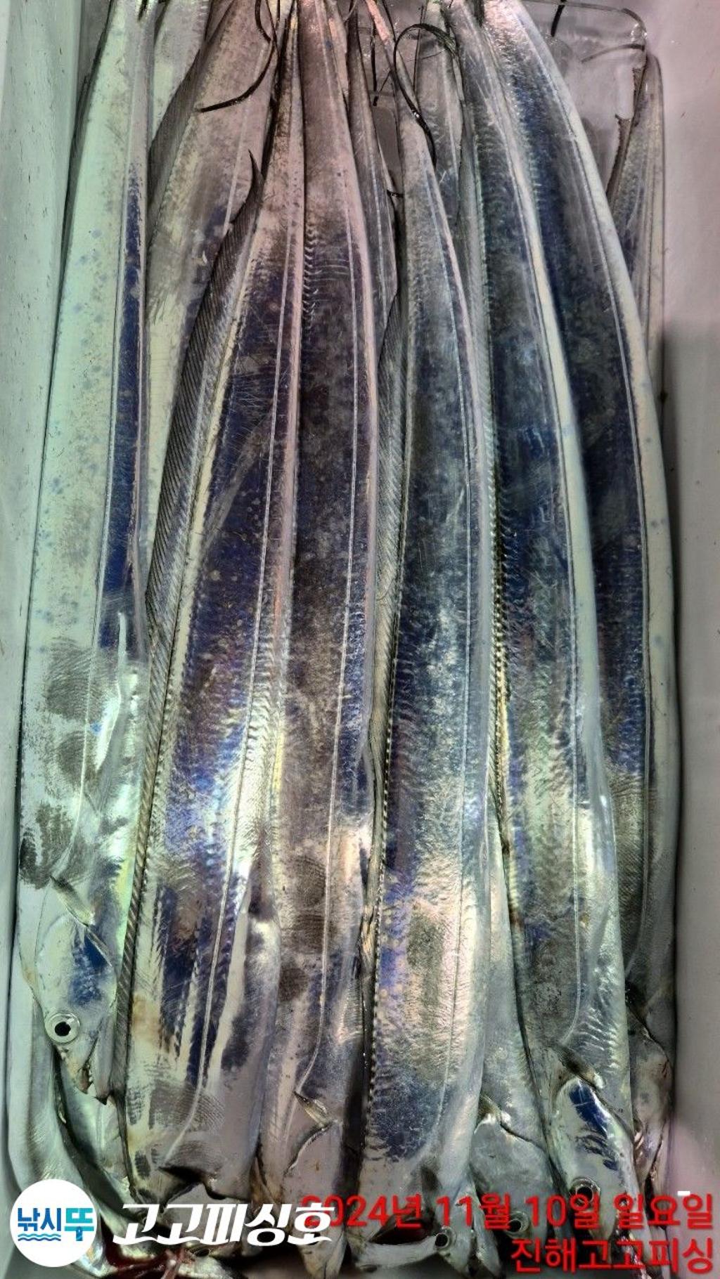 F25651901C.jpg