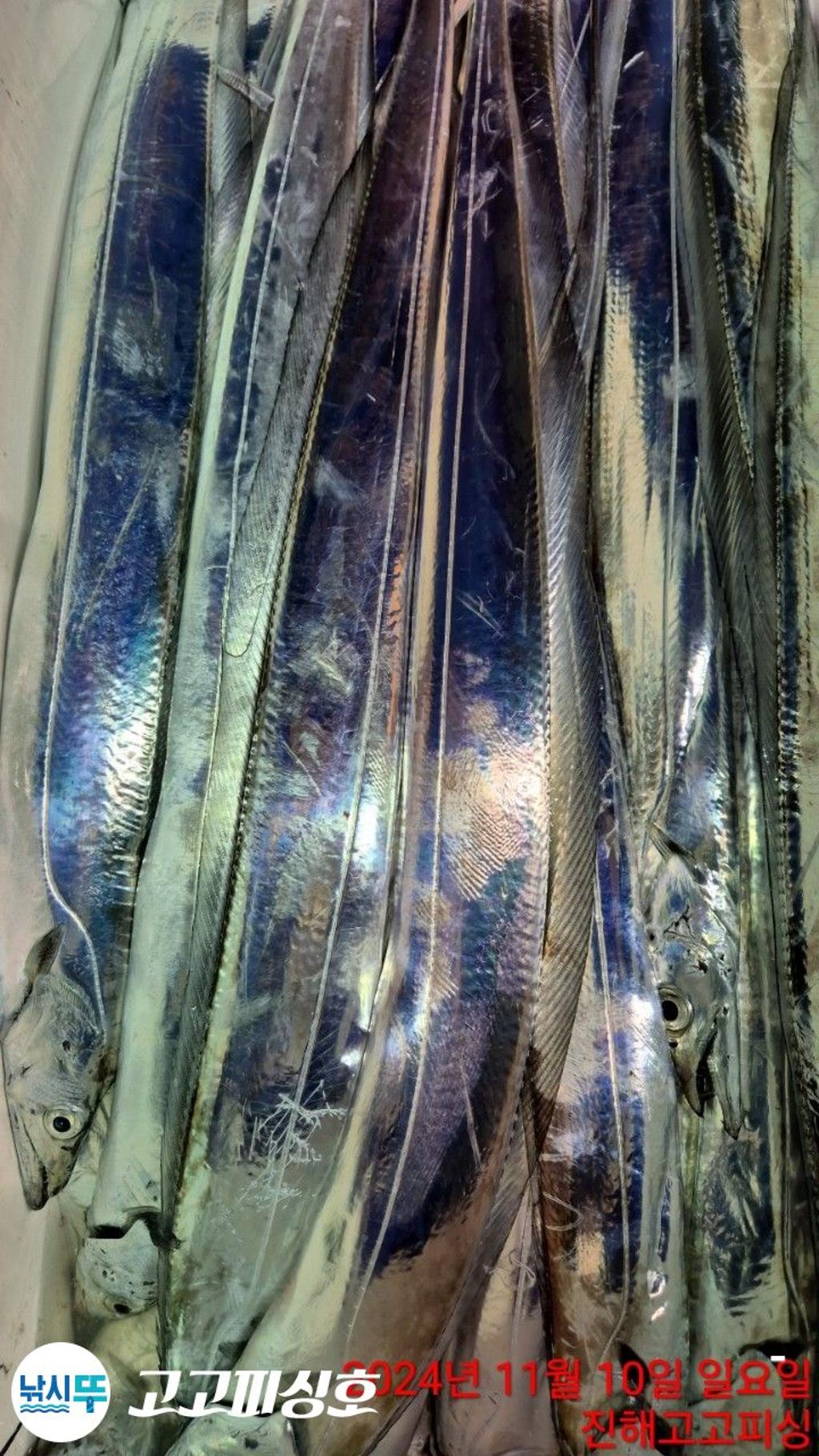 F2565191LW.jpg