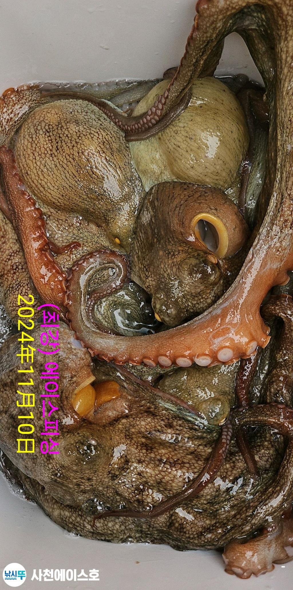 F2565447M7.jpg