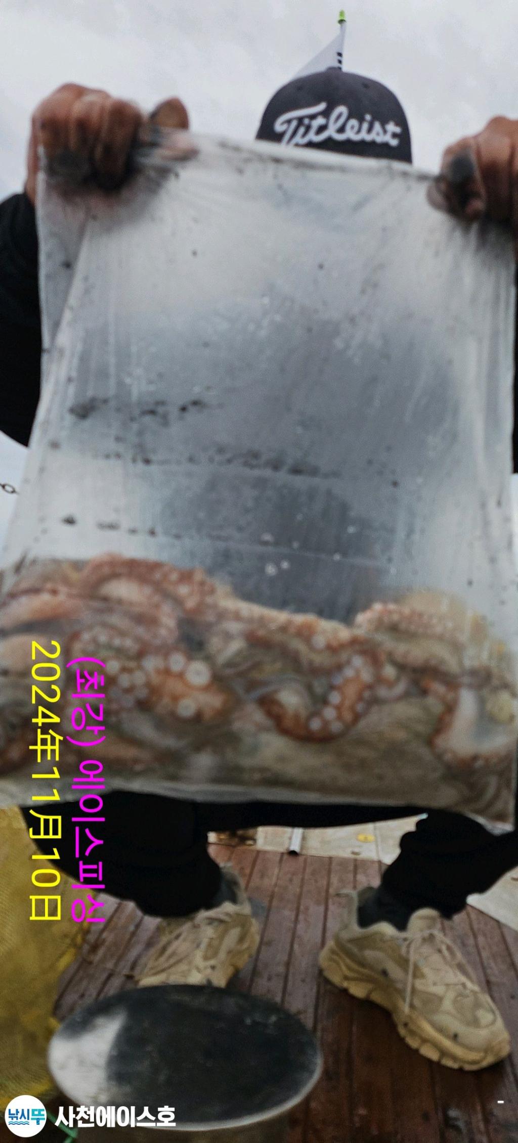 F2565452T8.jpg