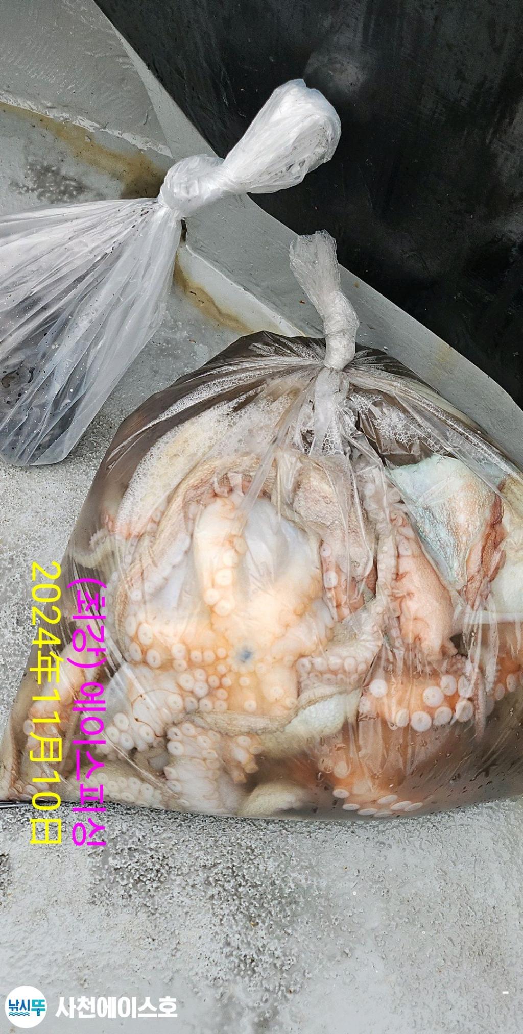F2565455BH.jpg