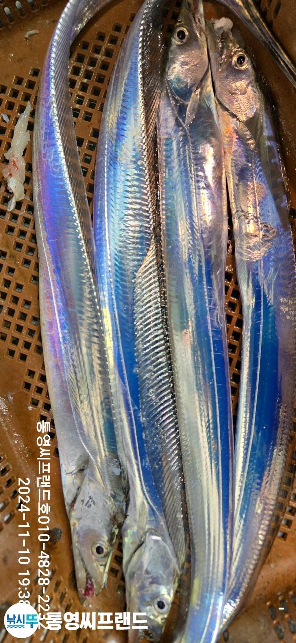 F2565797DL.jpg