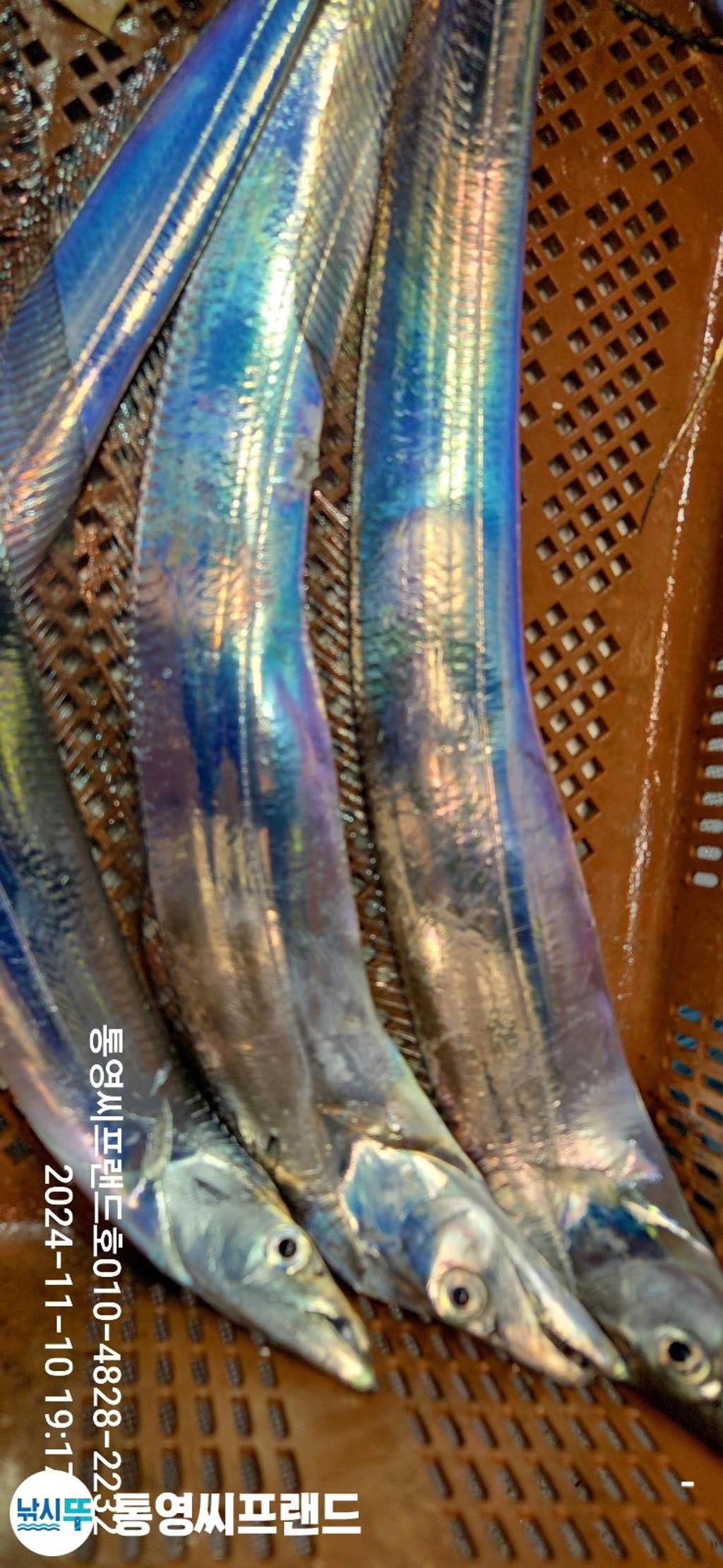 F2565798RR.jpg