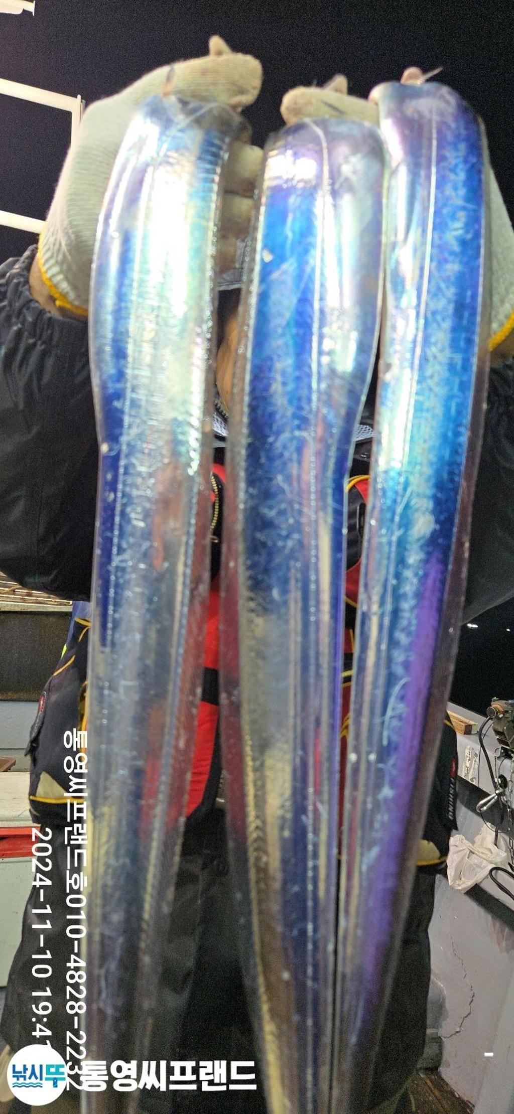 F2565800PG.jpg
