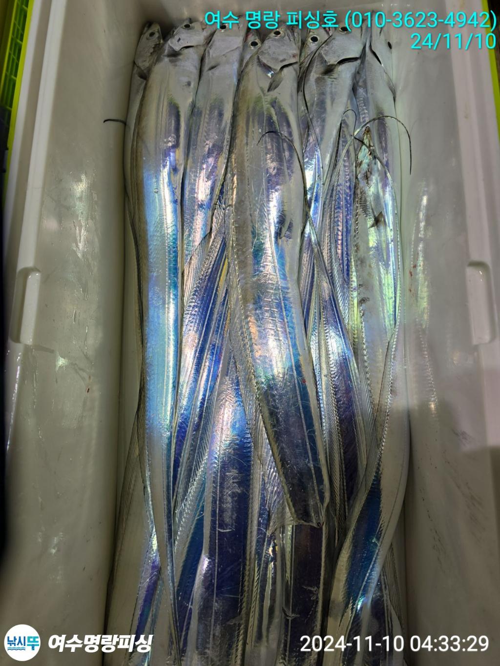 F2566075MH.jpg