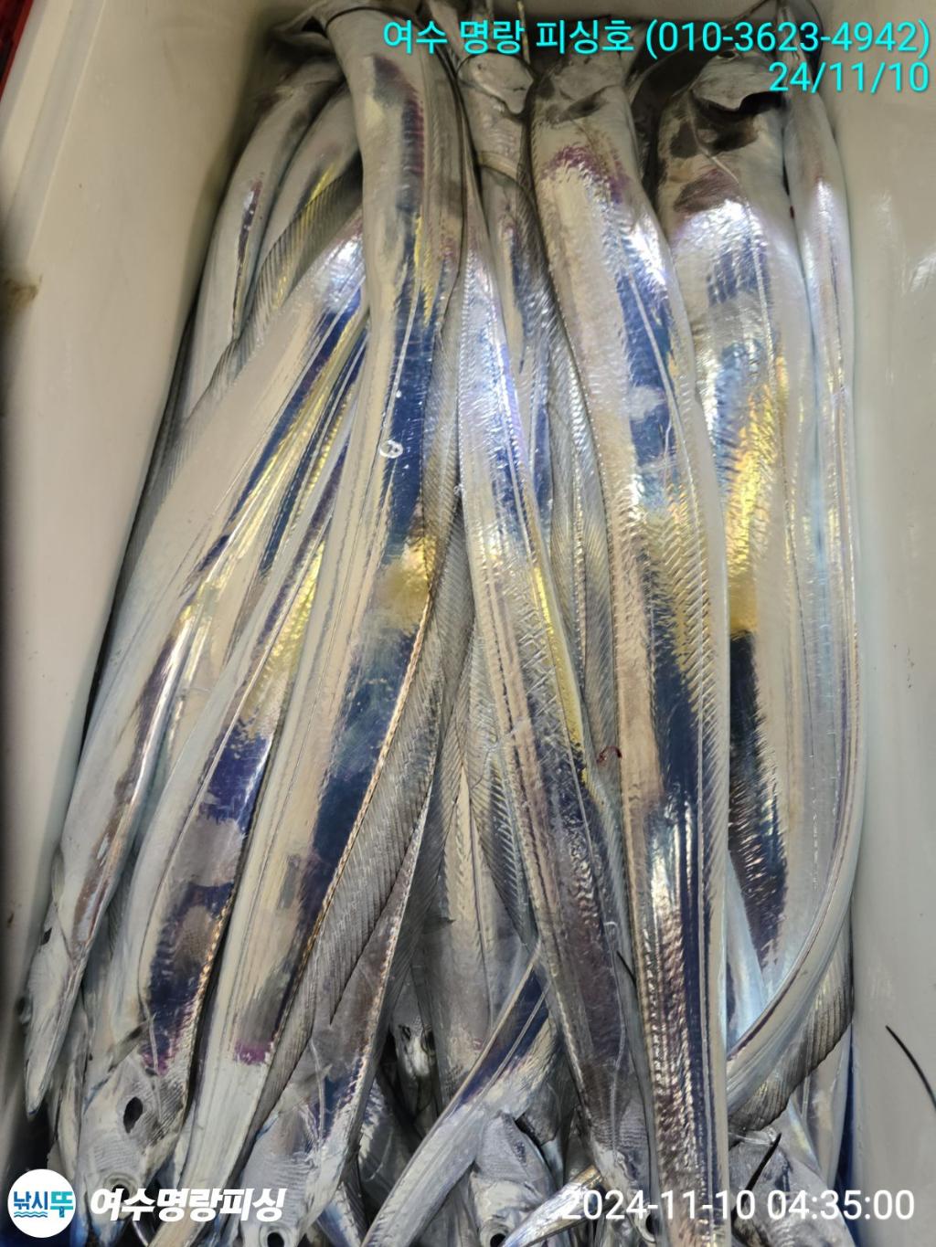F25660776V.jpg