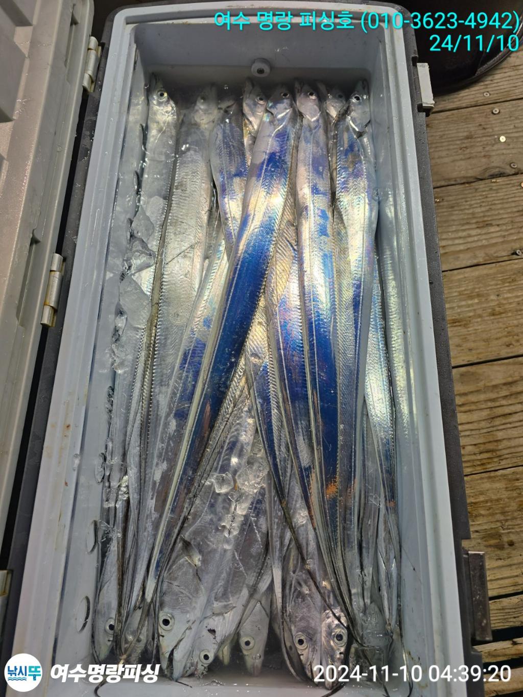 F2566079B1.jpg