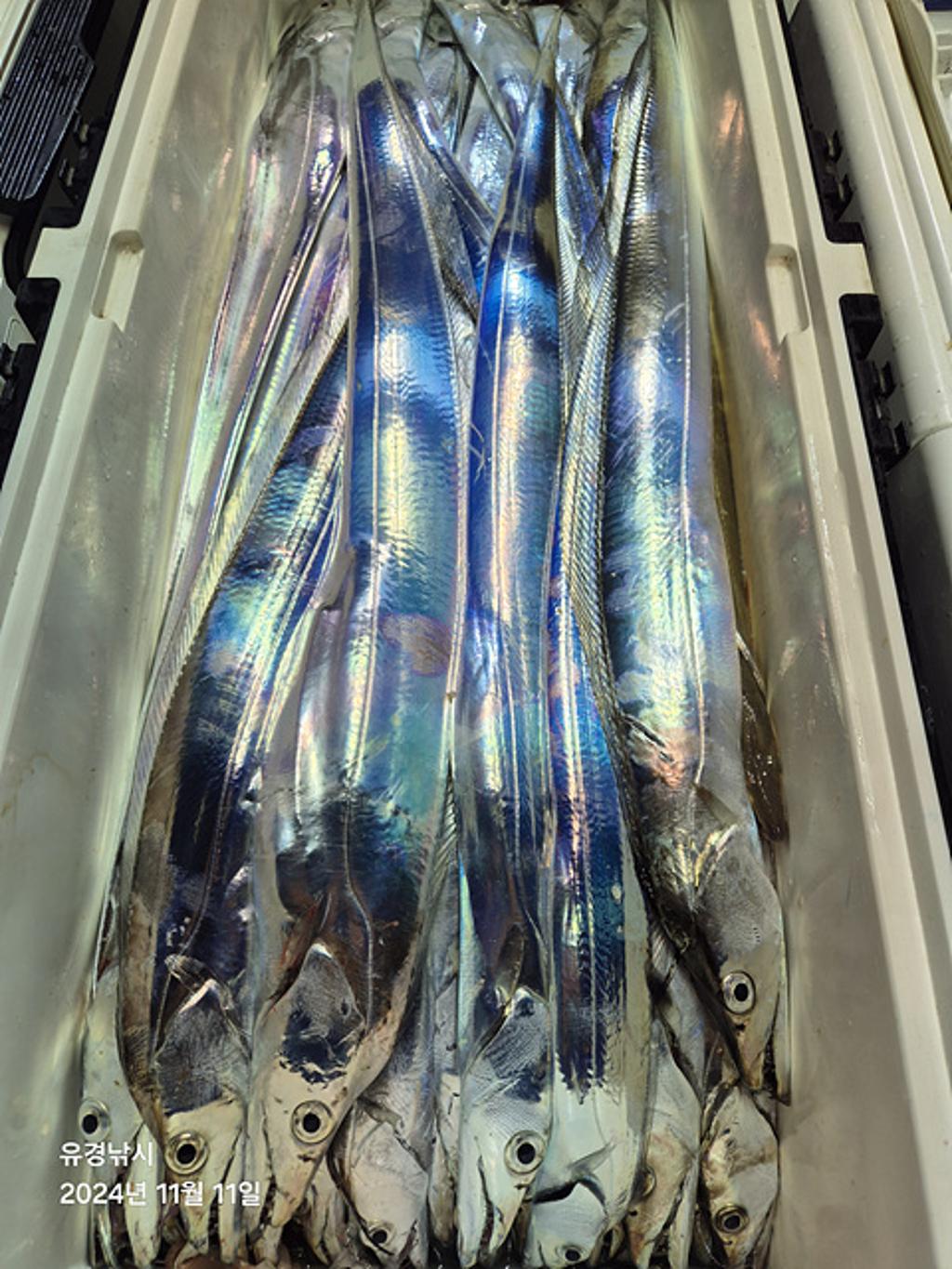 F256668985.jpg