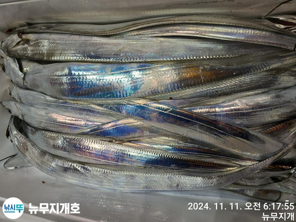 F256676489.jpg