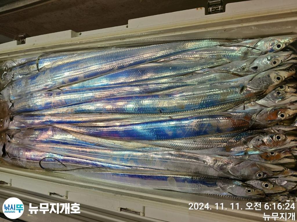F25667695B.jpg
