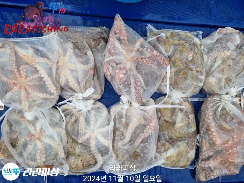 낚시뚜,돌문어,속천항(진해),라라피싱,낚시뚜23