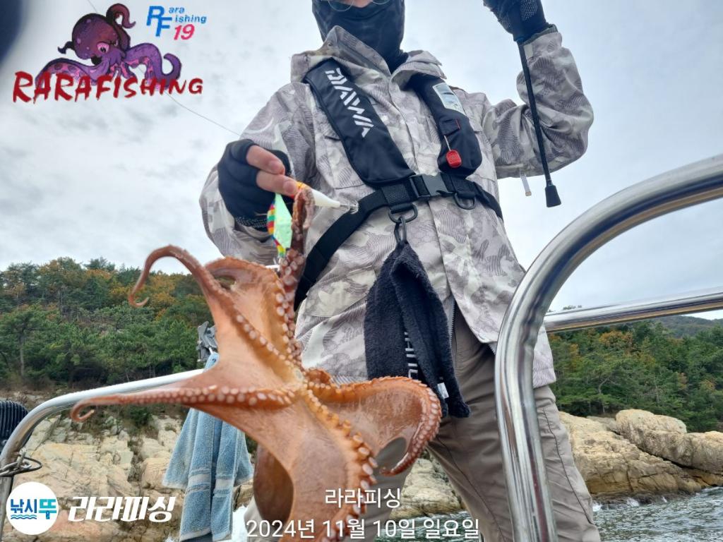 낚시뚜,돌문어,속천항(진해),라라피싱,낚시뚜7