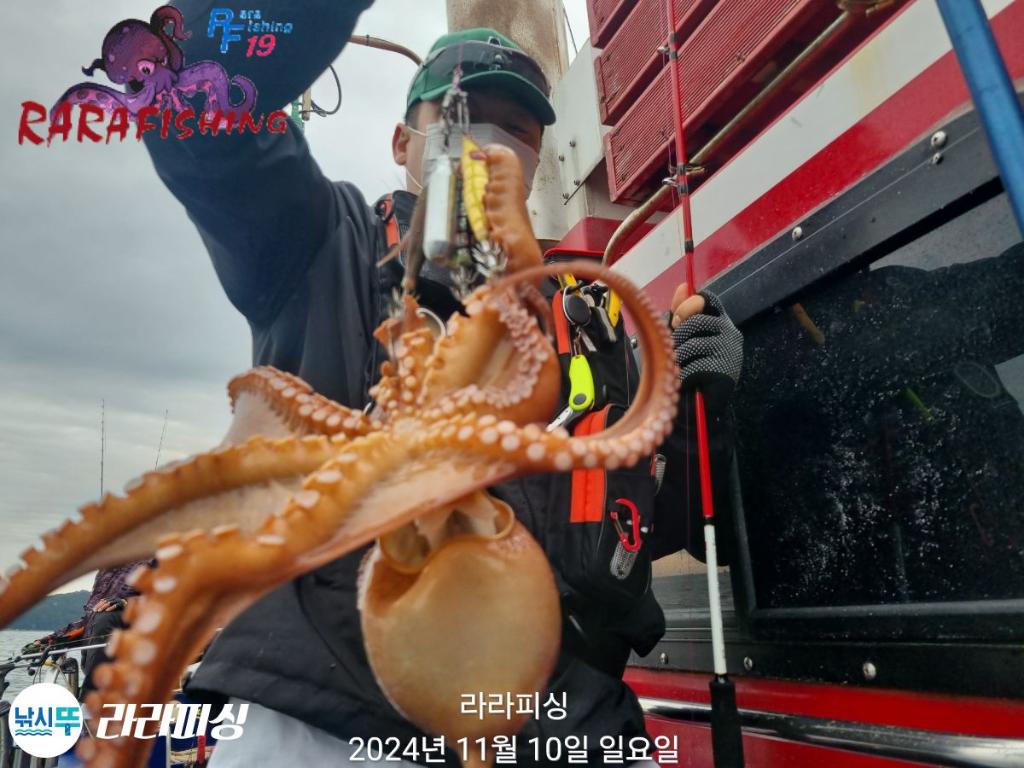 낚시뚜,돌문어,속천항(진해),라라피싱,낚시뚜6