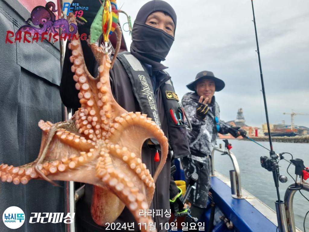 낚시뚜,돌문어,속천항(진해),라라피싱,낚시뚜4