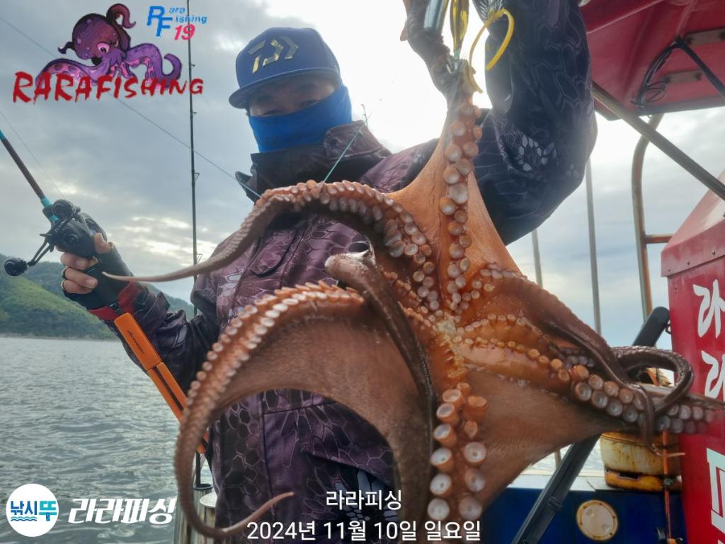낚시뚜,돌문어,속천항(진해),라라피싱,낚시뚜2