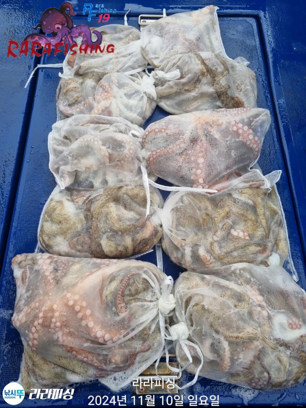 낚시뚜,돌문어,속천항(진해),라라피싱,낚시뚜1