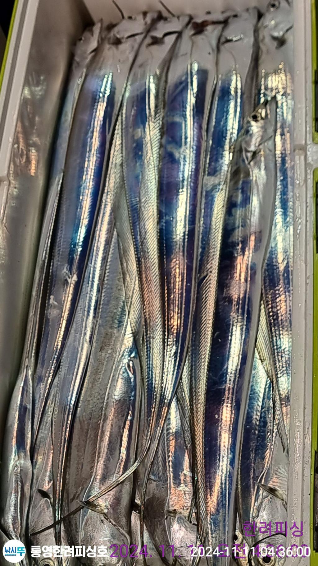 F2567044JU.jpg