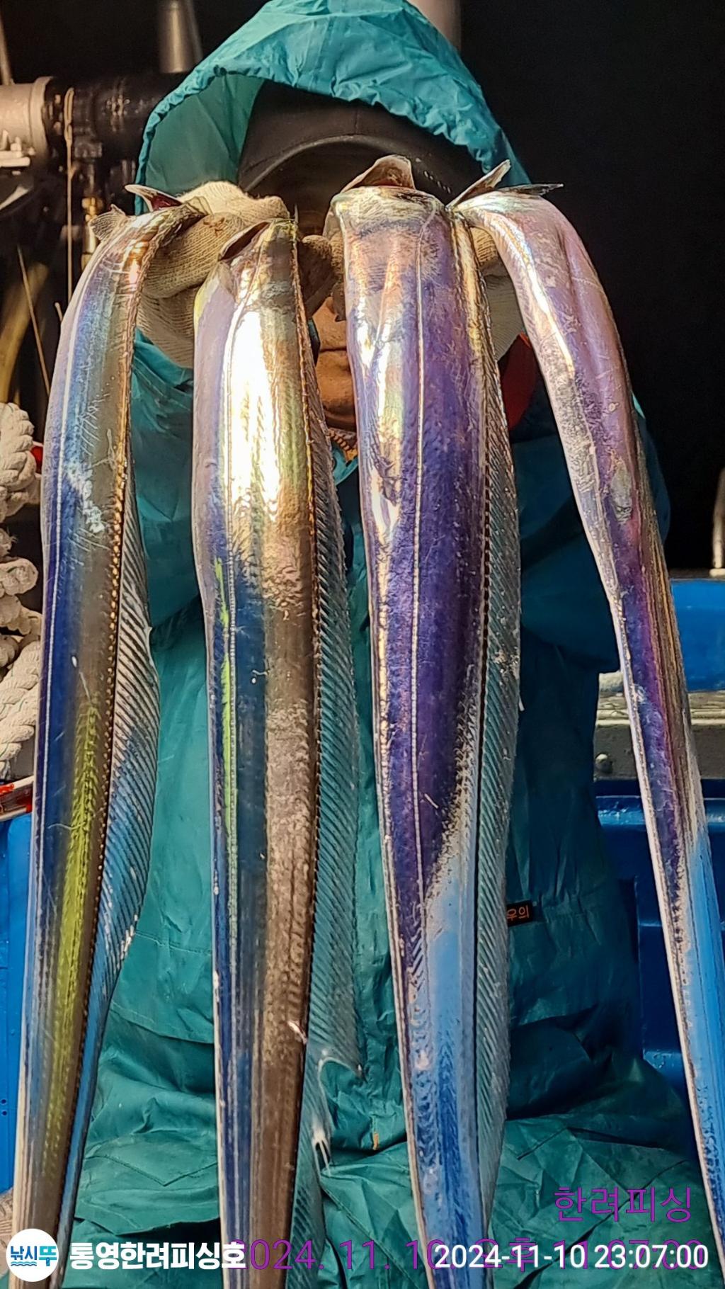 F2567054IG.jpg