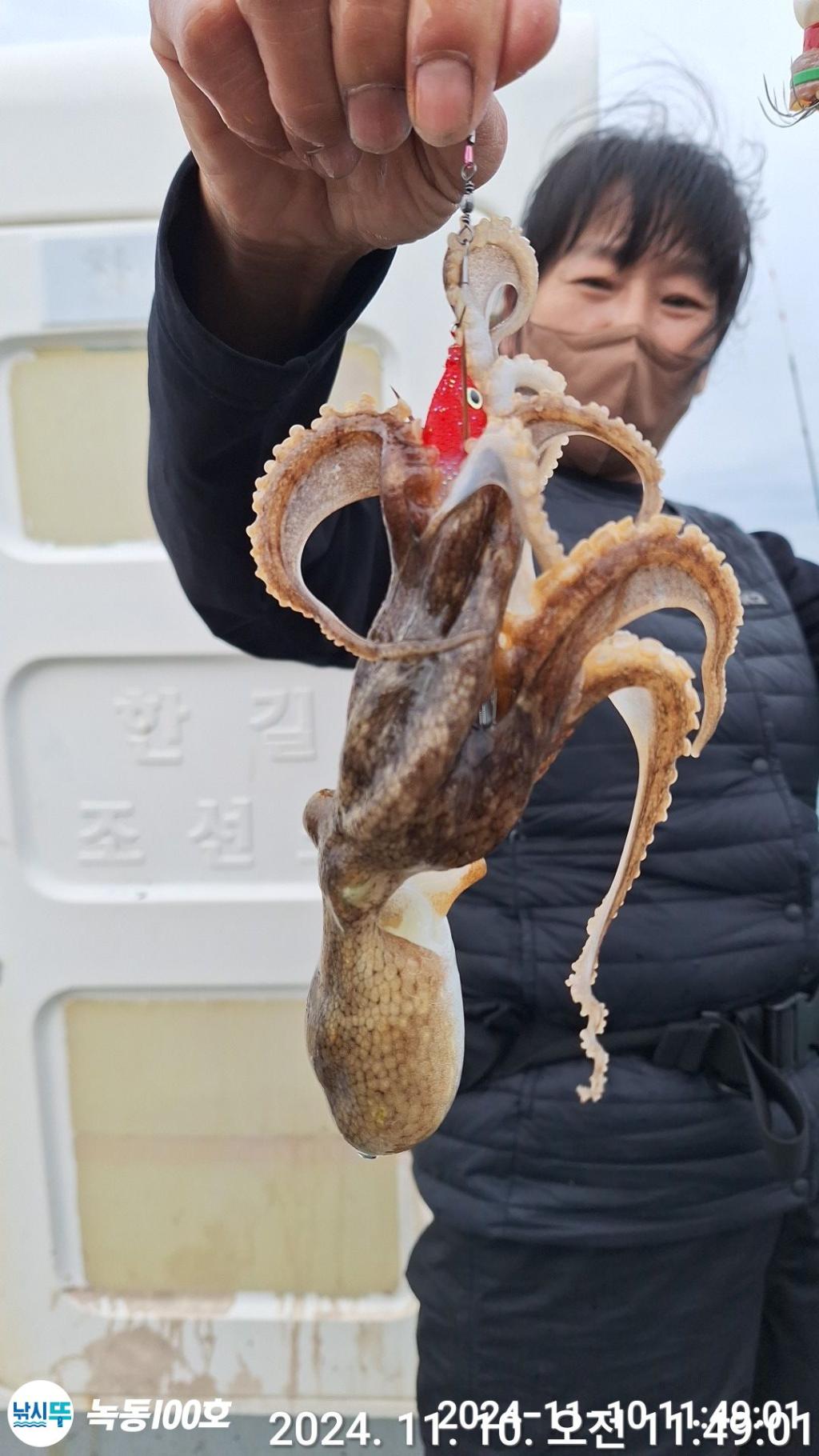 낚시뚜,갑오징어,쭈꾸미,녹동항,녹동100호,낚시뚜21