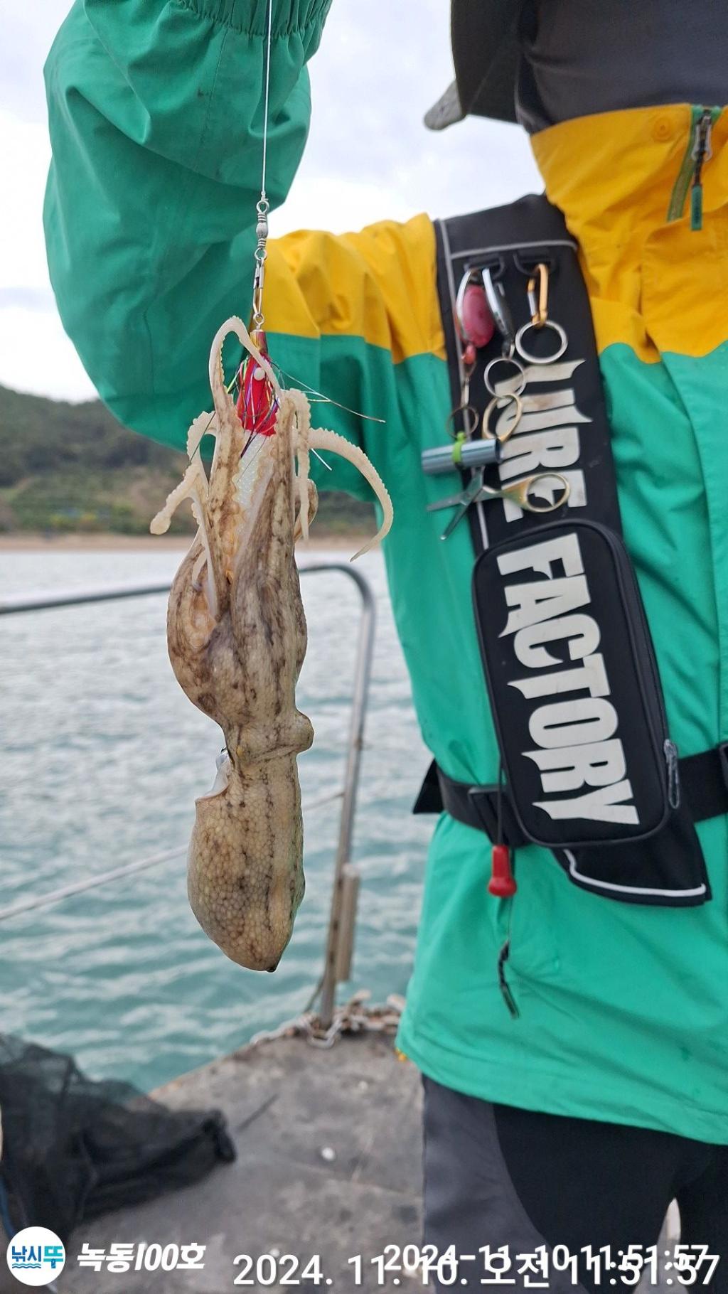 낚시뚜,갑오징어,쭈꾸미,녹동항,녹동100호,낚시뚜20