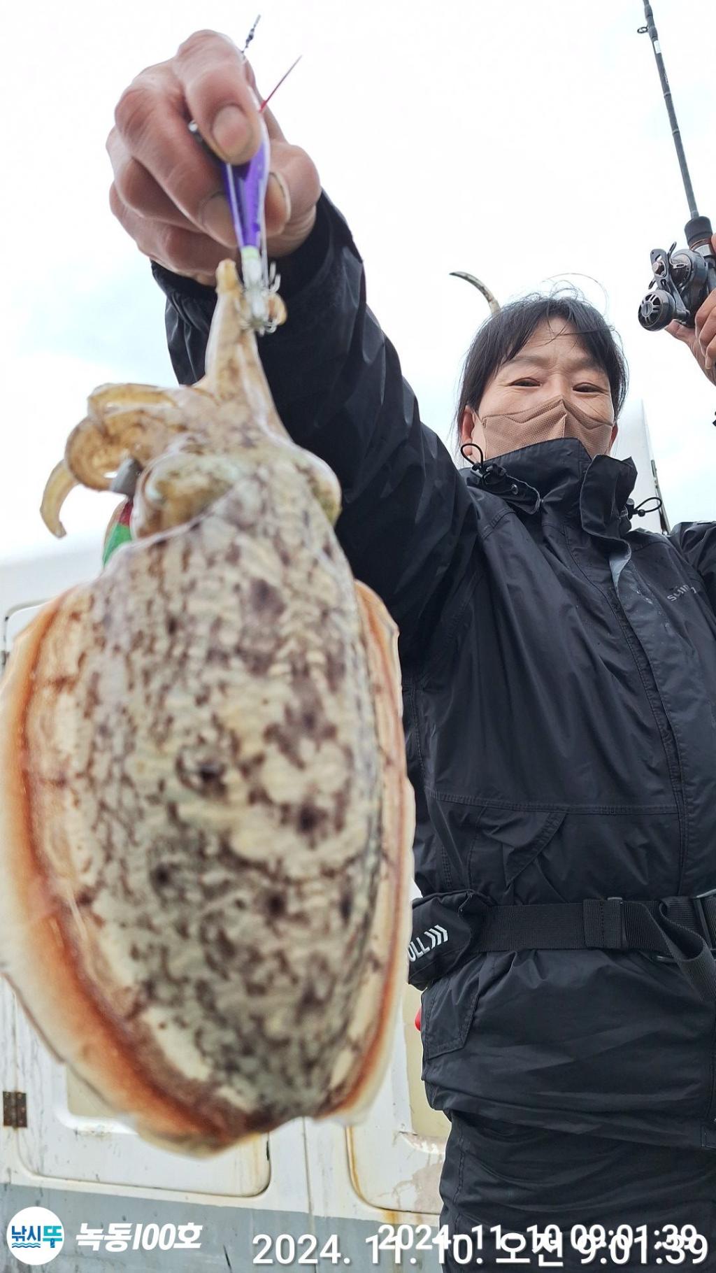 낚시뚜,갑오징어,쭈꾸미,녹동항,녹동100호,낚시뚜18