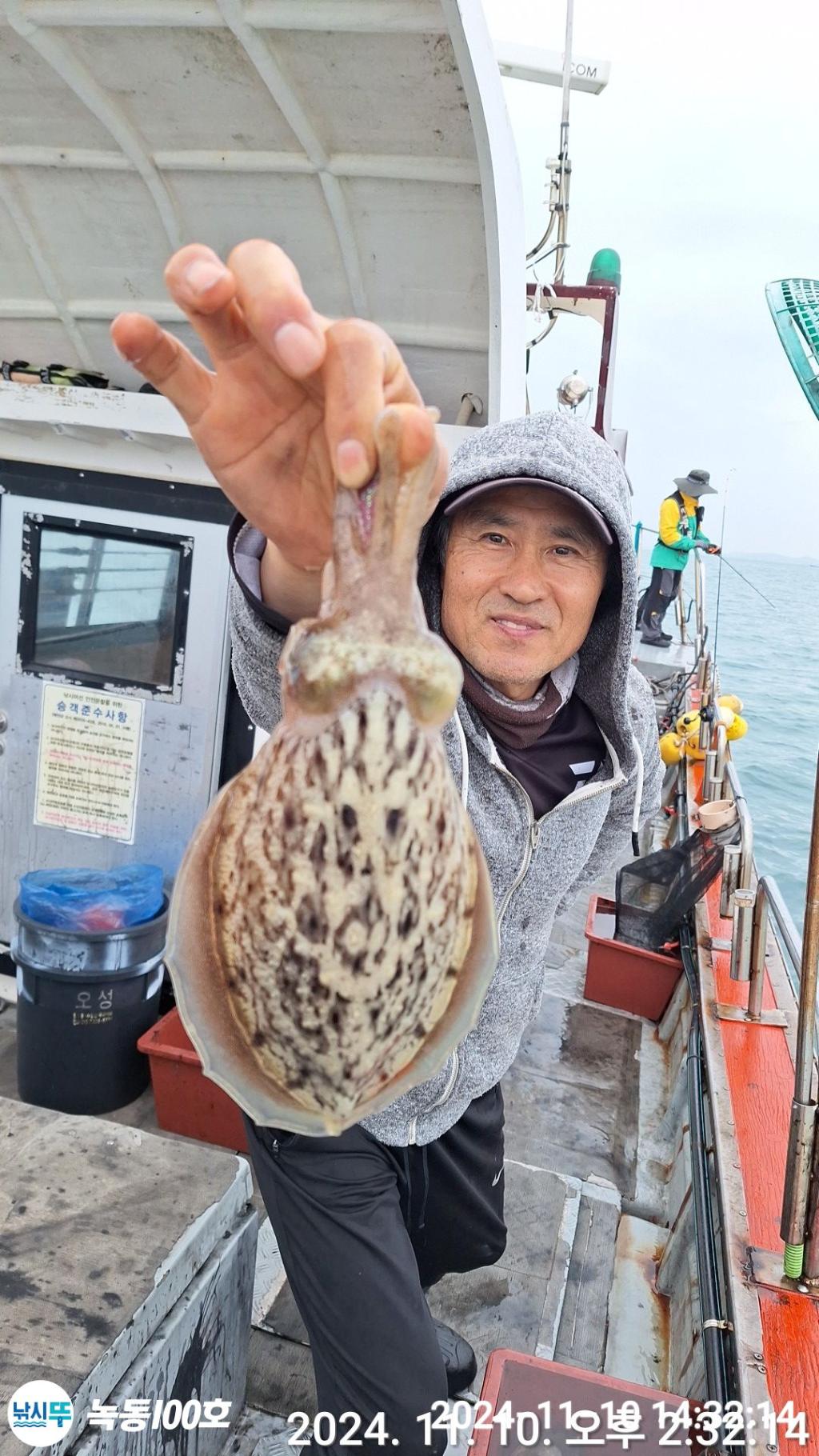 낚시뚜,갑오징어,쭈꾸미,녹동항,녹동100호,낚시뚜9