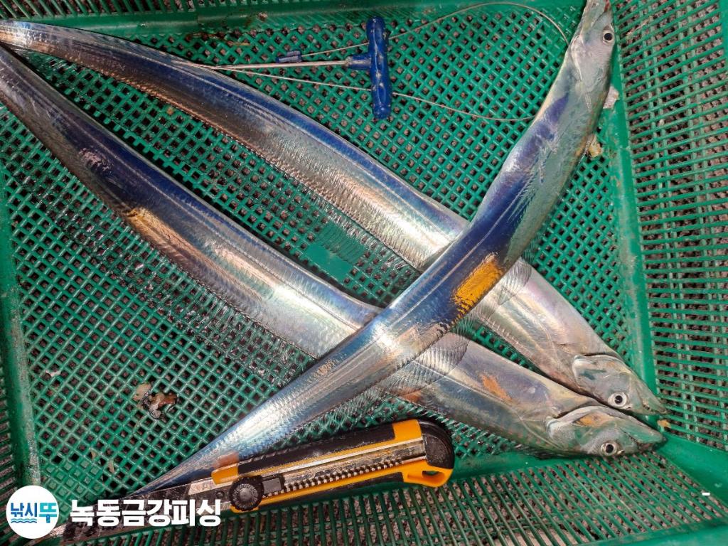 F2567305WL.jpg