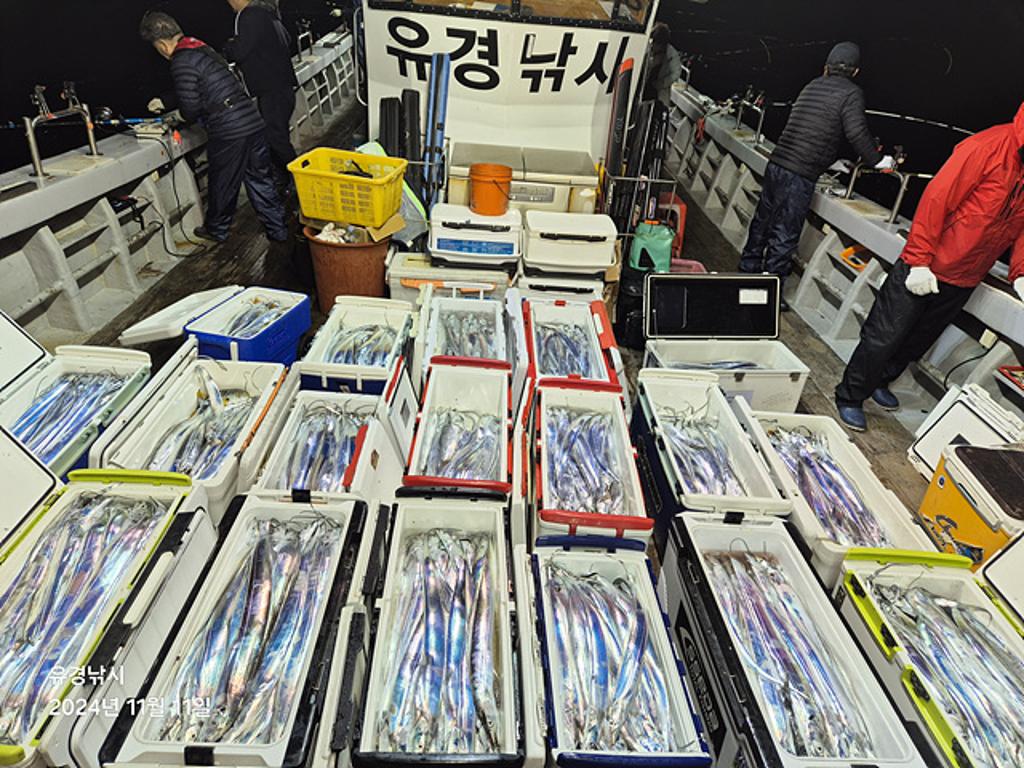 아폴로초대박용가리급까지새벽집중입질빨리~빨리/14일예약가능