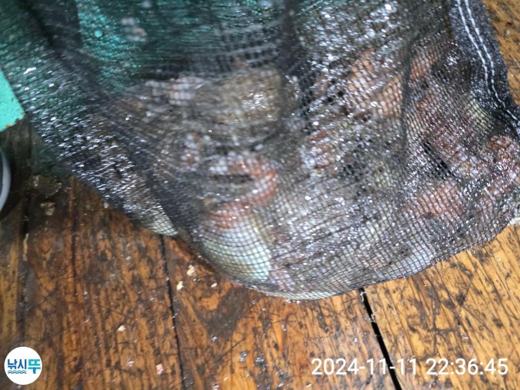 F2567852VU.jpg