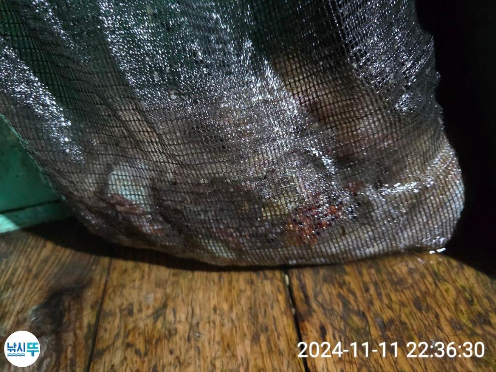 F25678541L.jpg