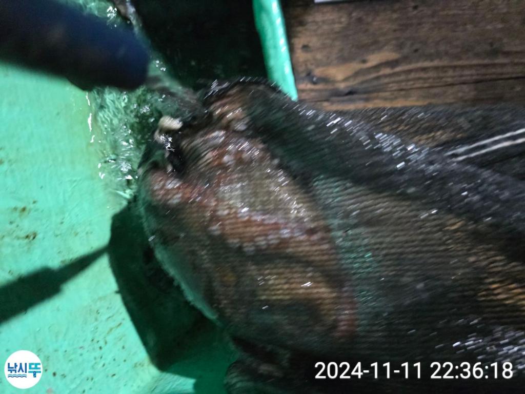 F2567855RP.jpg