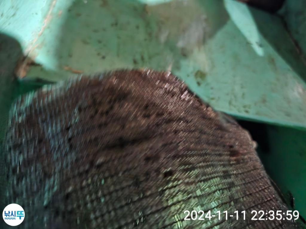 F2567857MP.jpg
