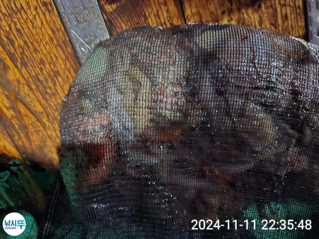 F2567858TX.jpg