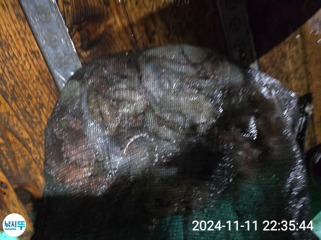 F25678598R.jpg