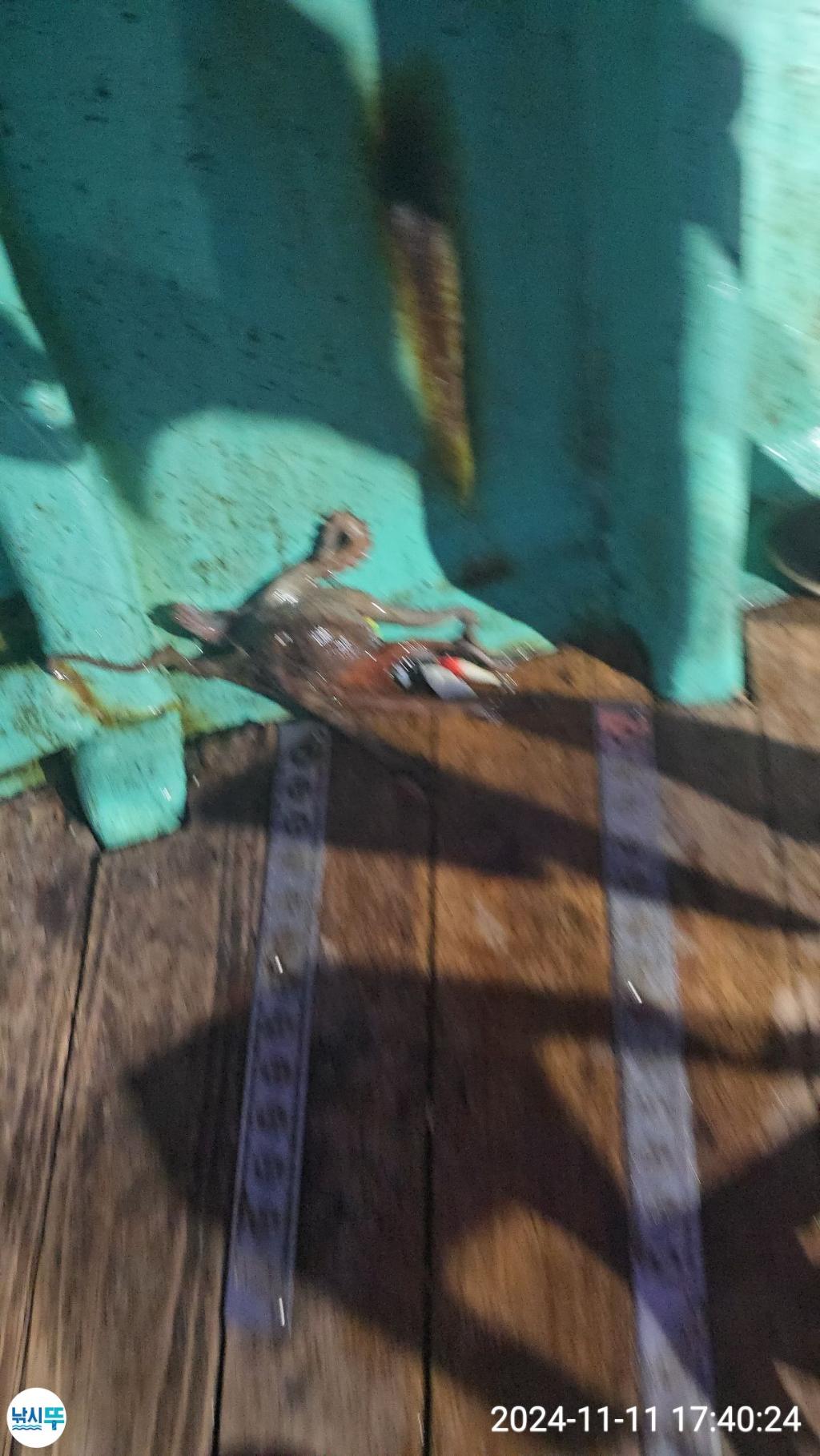 F2567873SL.jpg