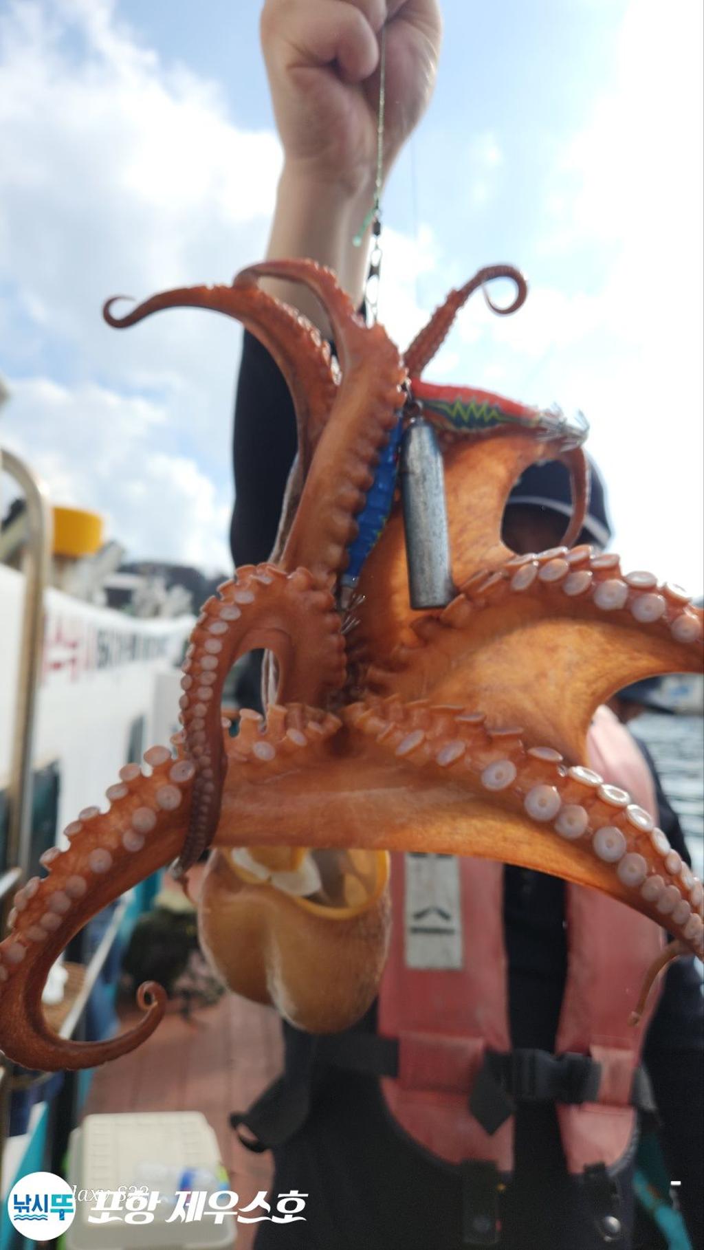 F2567982OC.jpg