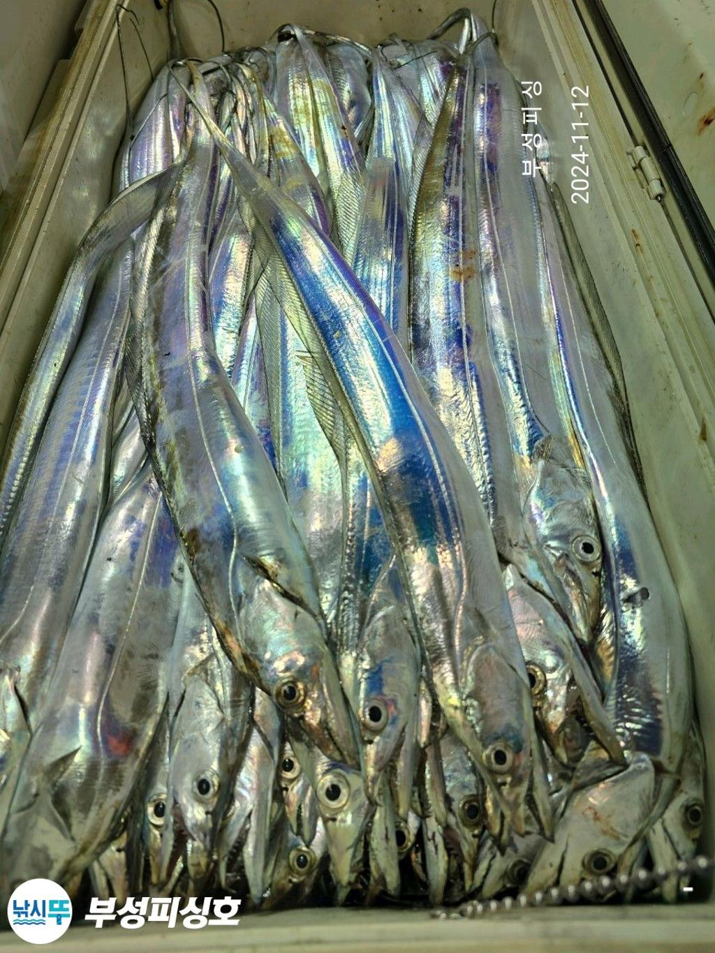 F25680899S.jpg