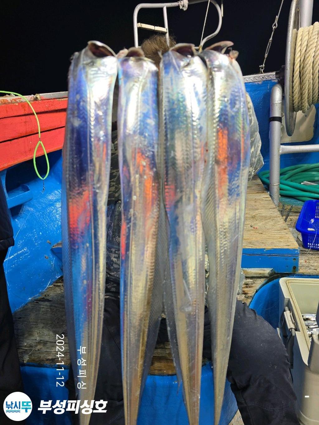 F2568105J7.jpg