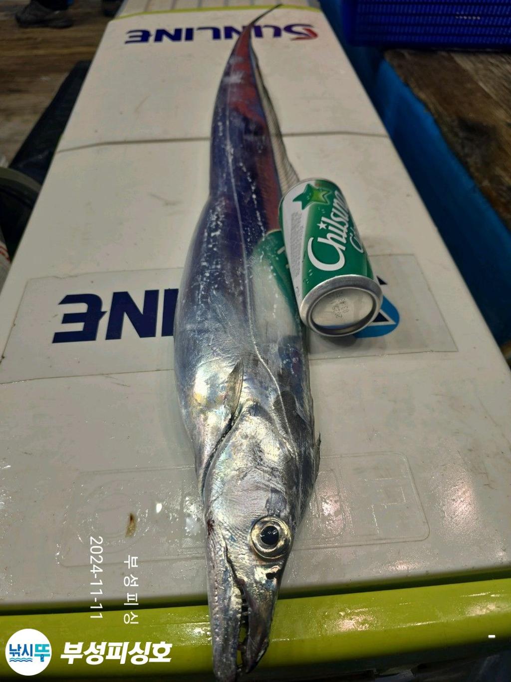 F25681092A.jpg