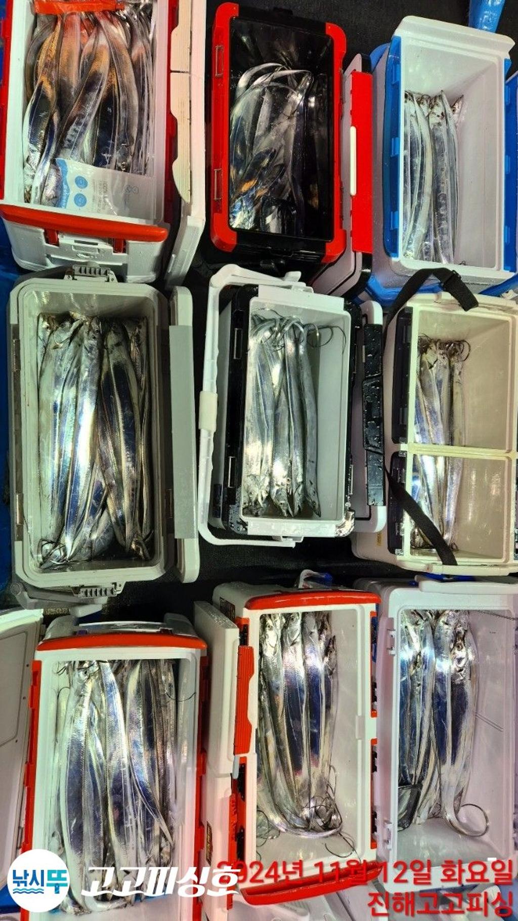 F2568645SD.jpg