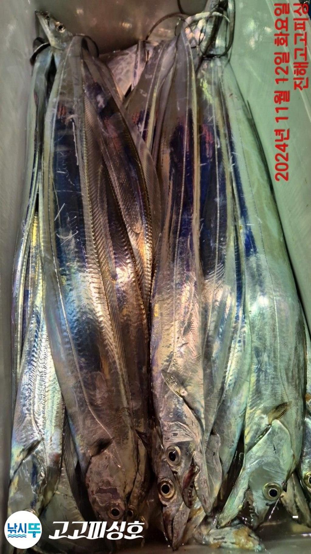 F25686513I.jpg