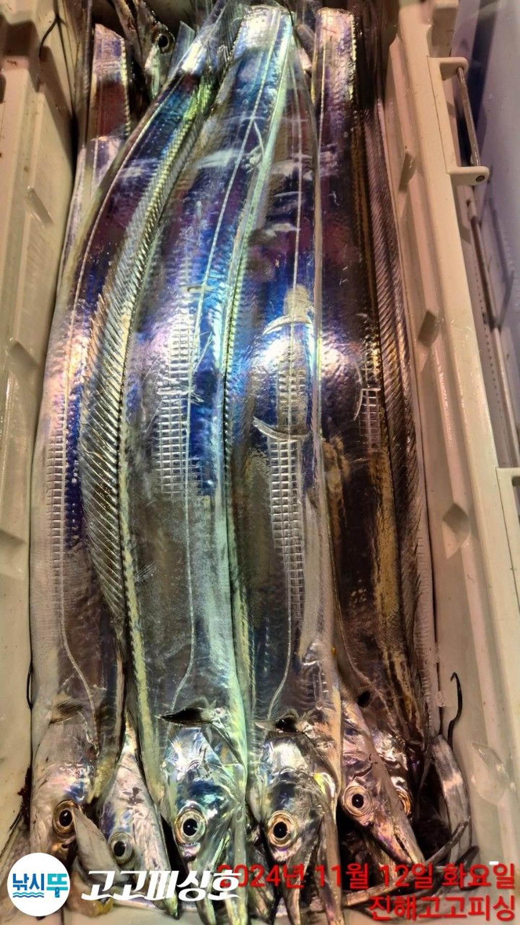 F2568652MB.jpg