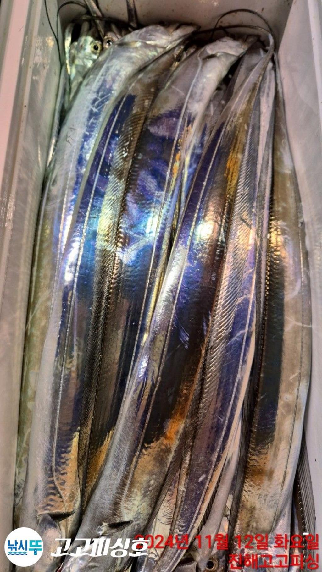 F25686542J.jpg