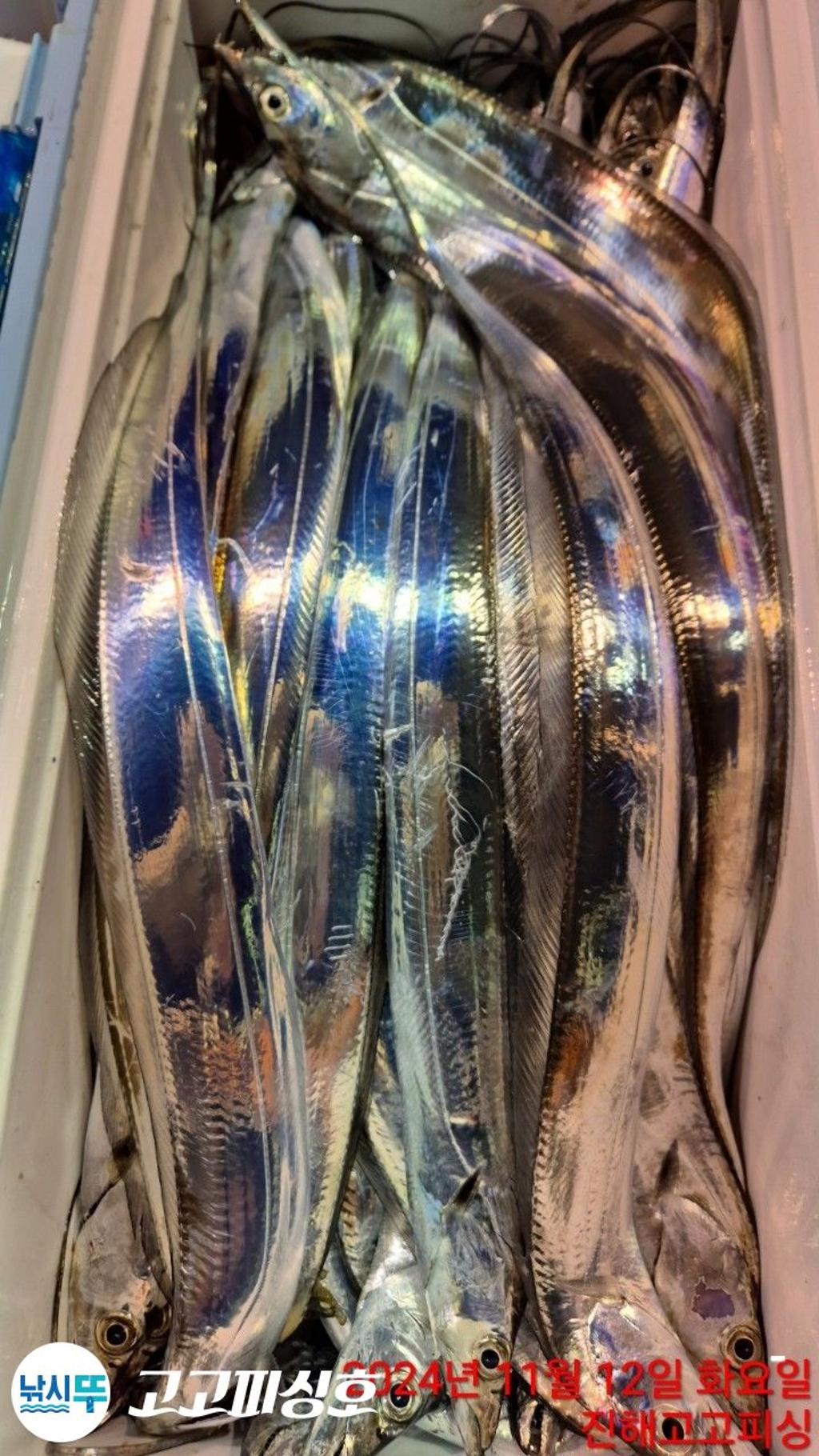 F2568655JA.jpg
