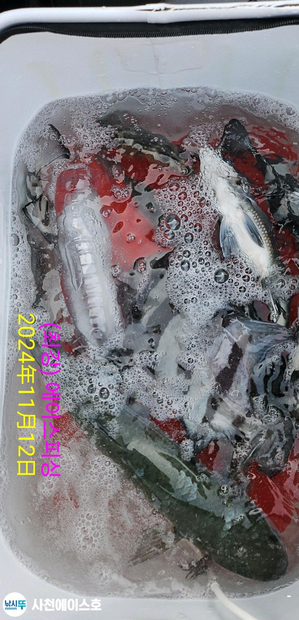 F2568960YL.jpg