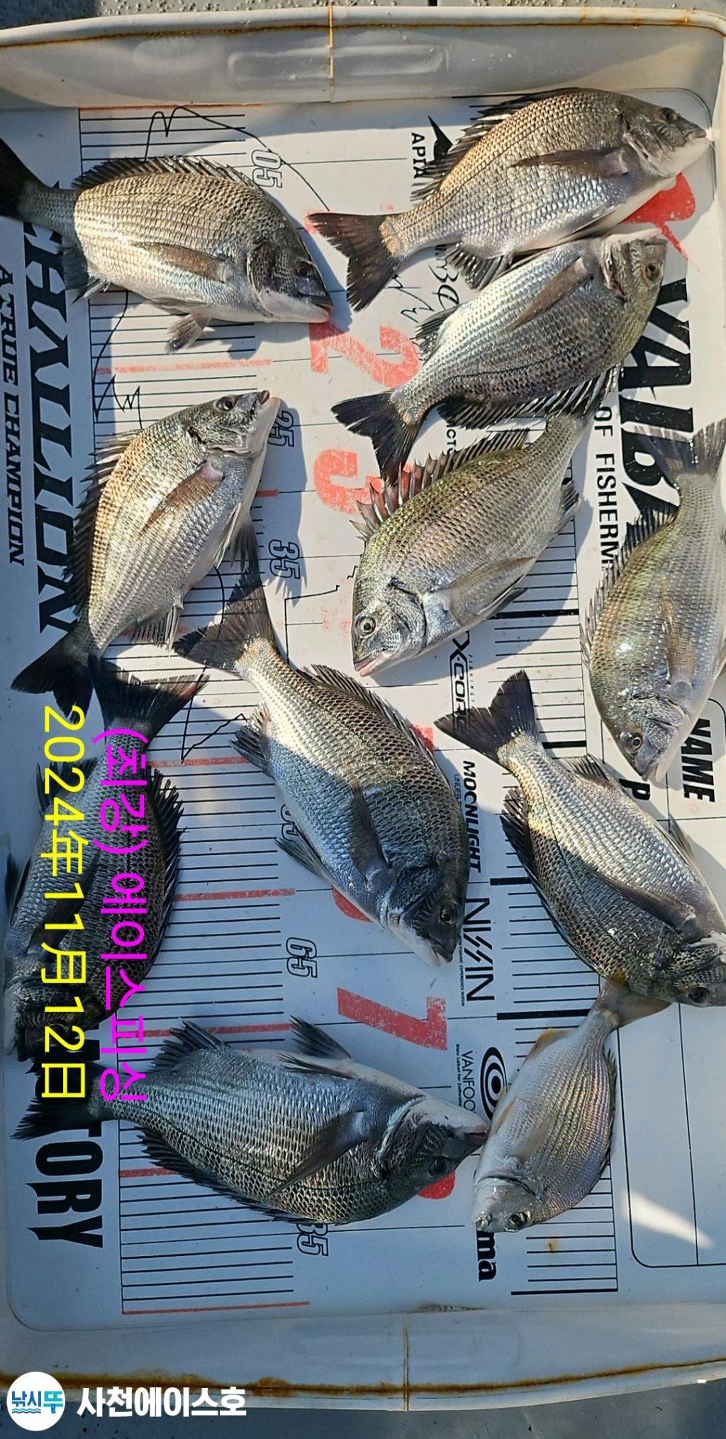 F2568961LQ.jpg