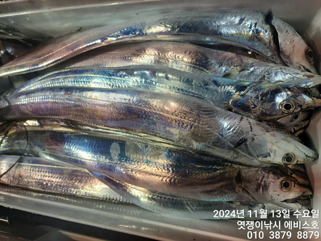 F2569451DN.jpg